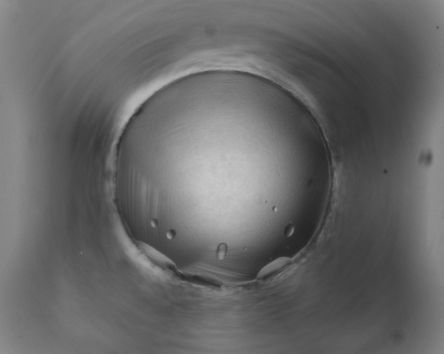 X0000112211528200908211506