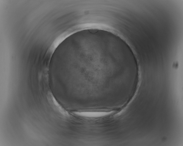 X0000112211529200908211506