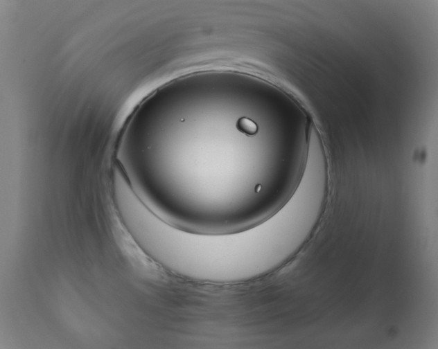 X0000112211530200908211506