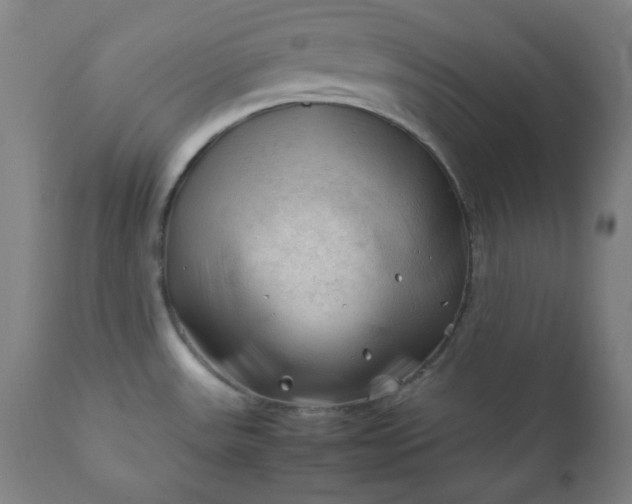 X0000112211531200908211506