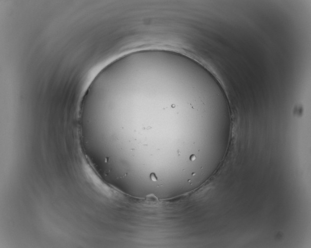 X0000112211532200908211506