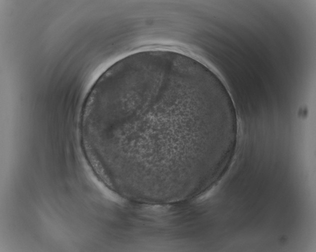 X0000112211533200908211506