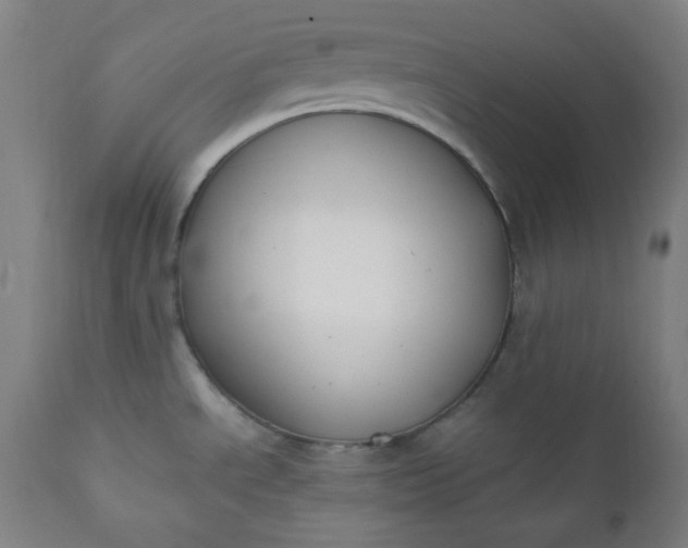 X0000112211534200908211506