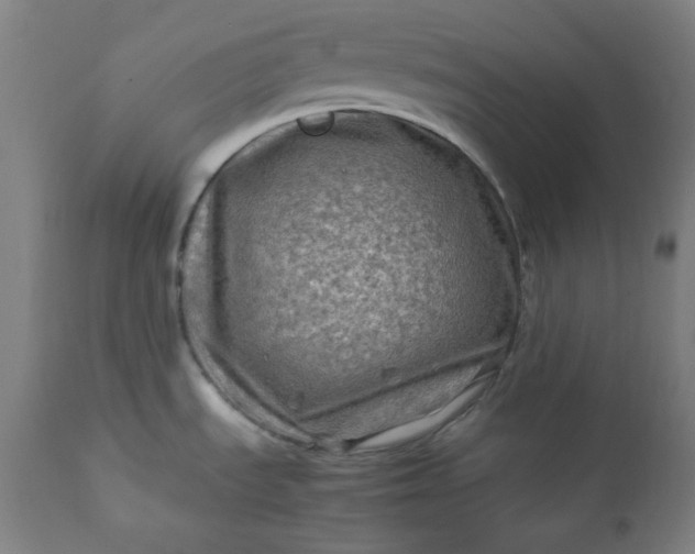 X0000112211535200908211506