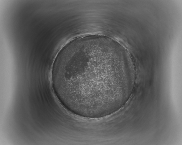 X0000112210002200908281509