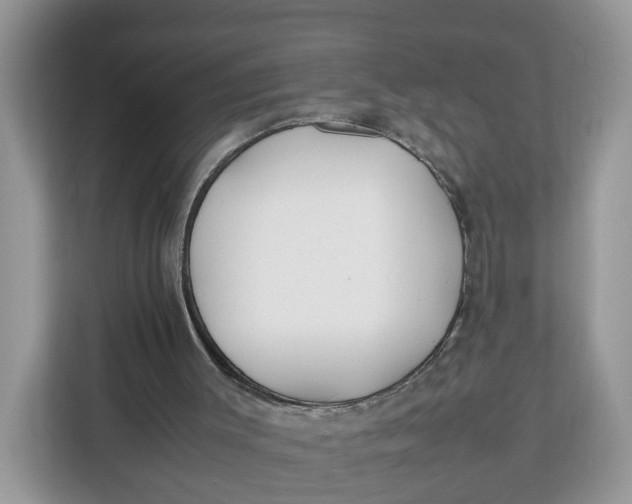 X0000112210003200908281509