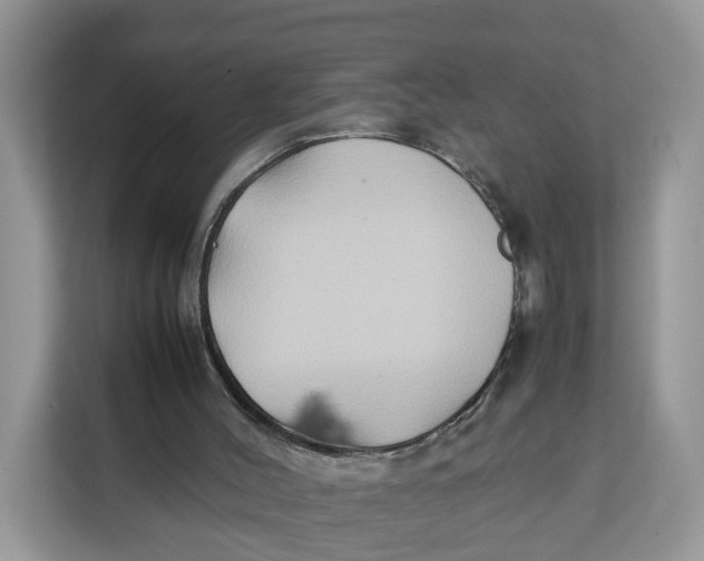 X0000112210004200908281509