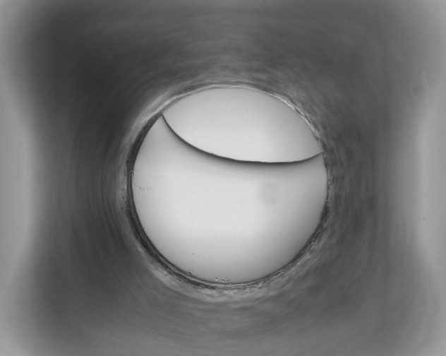 X0000112210005200908281509