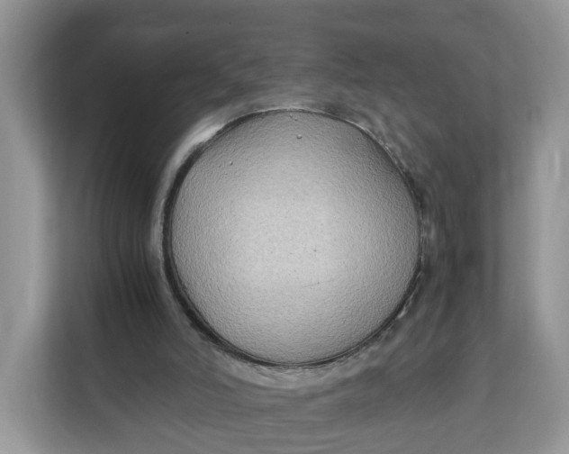 X0000112210006200908281509