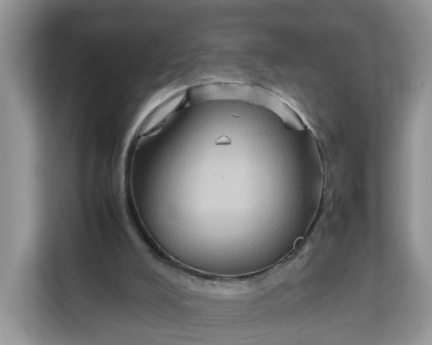 X0000112210008200908281509