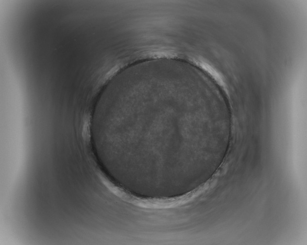 X0000112210009200908281509