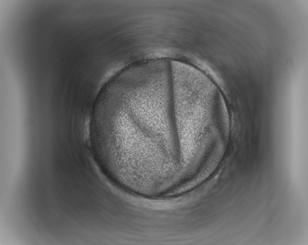 X0000112210010200908281509
