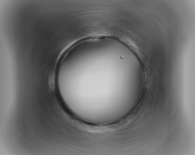 X0000112210012200908281509