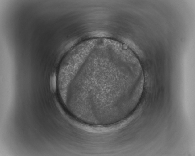 X0000112210014200908281509