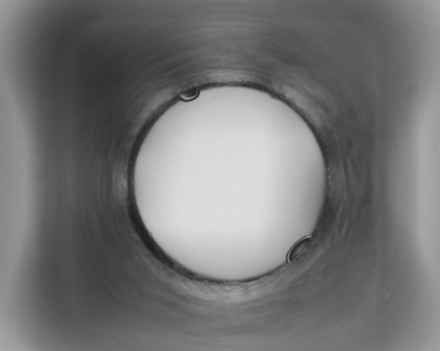X0000112210015200908281509