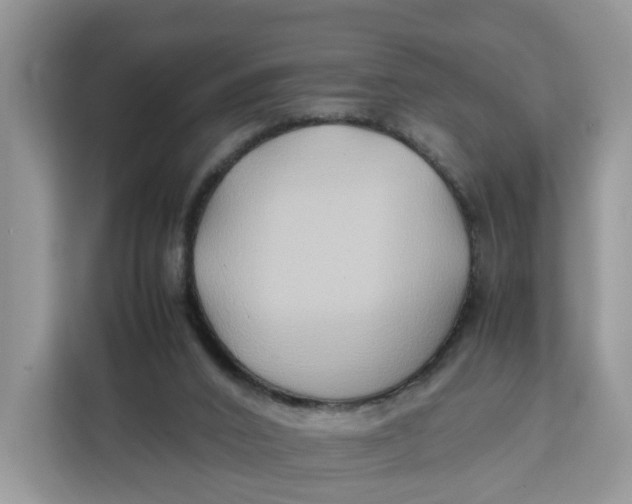 X0000112210016200908281509