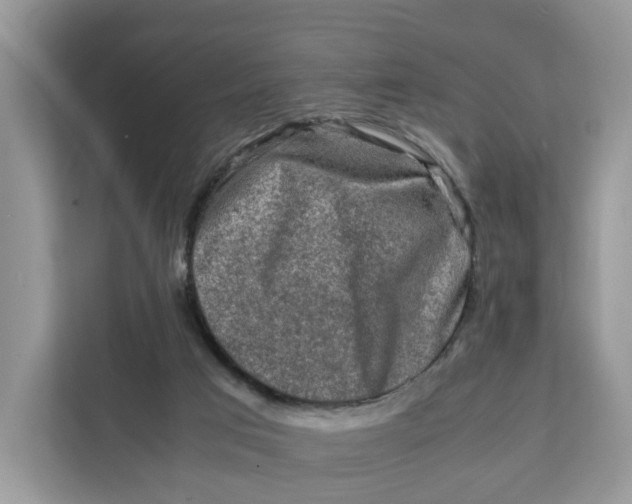 X0000112210017200908281509