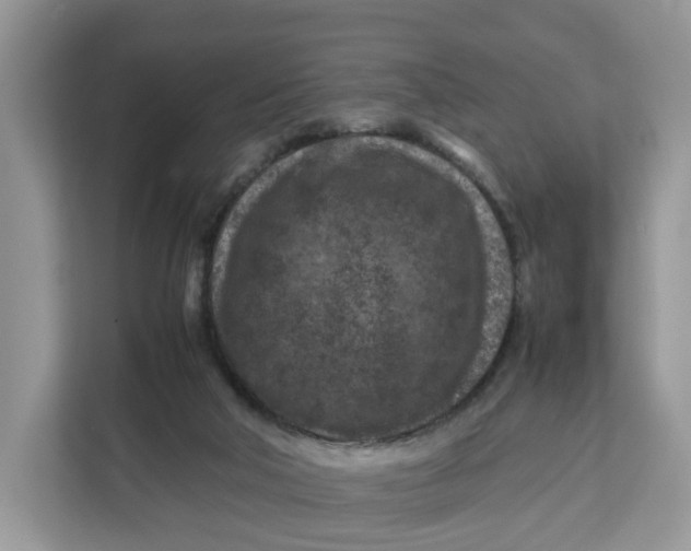 X0000112210018200908281509