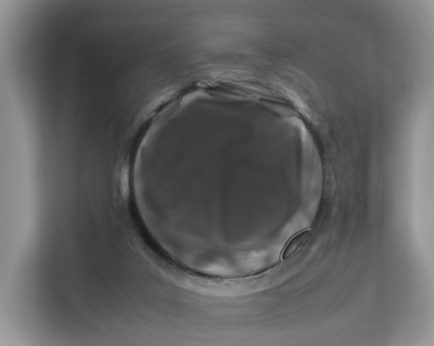 X0000112210019200908281509
