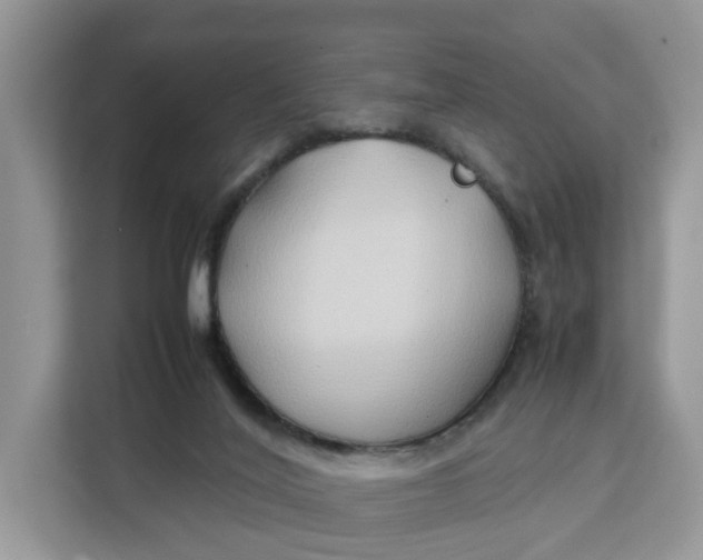 X0000112210020200908281509