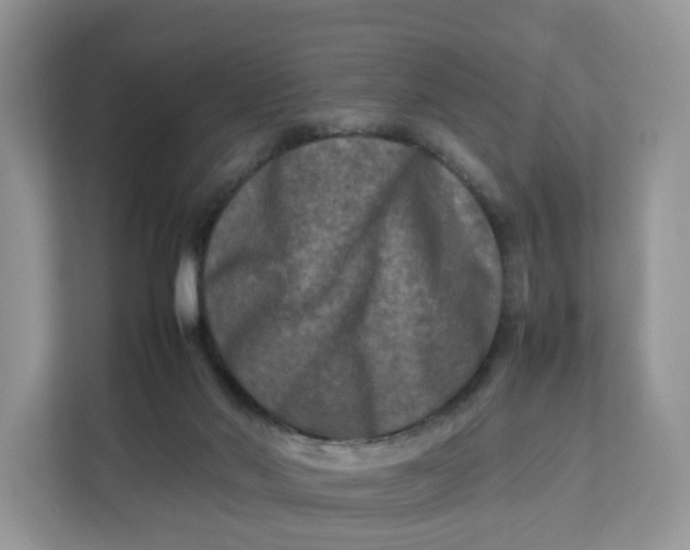 X0000112210022200908281509