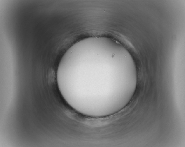 X0000112210025200908281509