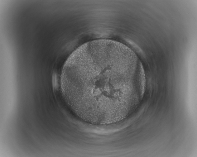 X0000112210026200908281509