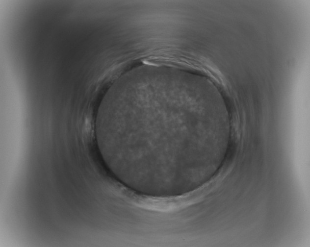 X0000112210029200908281509