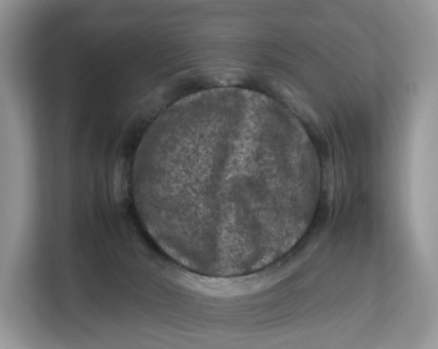 X0000112210030200908281509