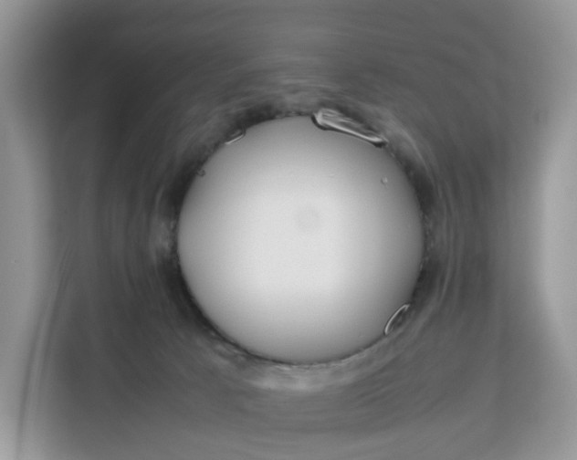 X0000112210033200908281509