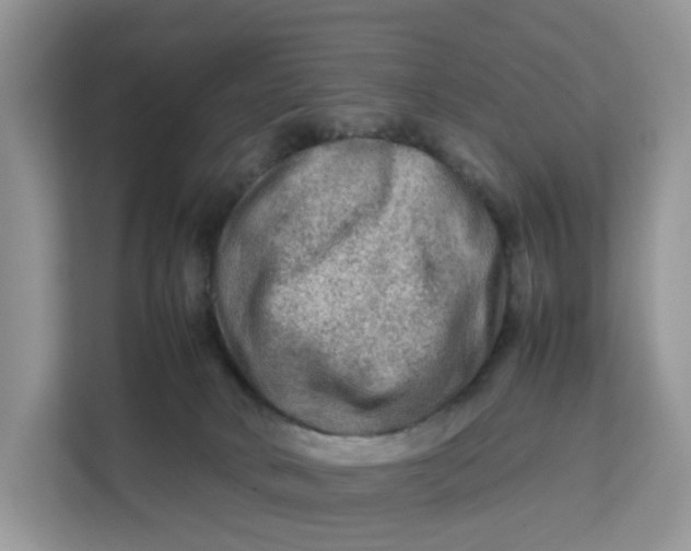 X0000112210034200908281509