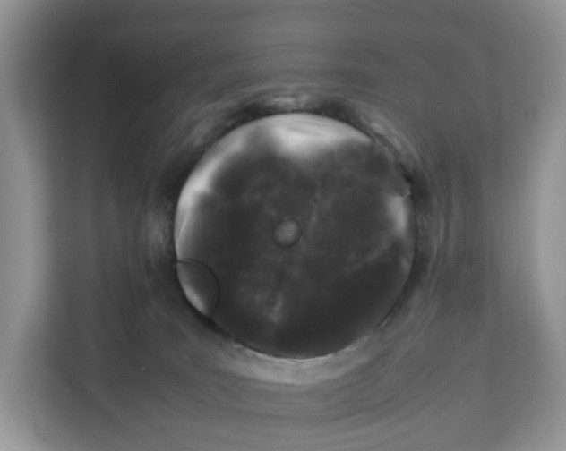 X0000112210035200908281509