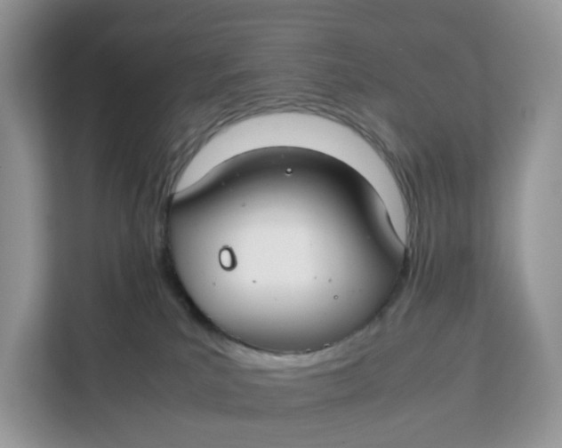 X0000112210039200908281509