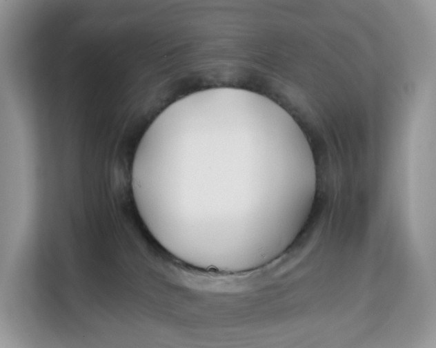 X0000112210040200908281509