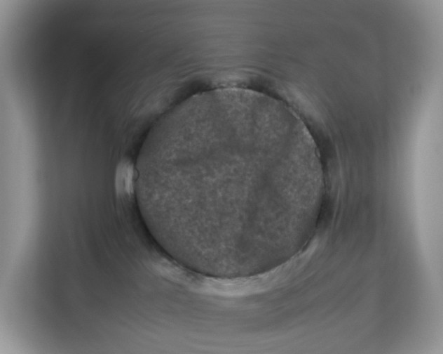 X0000112210041200908281509