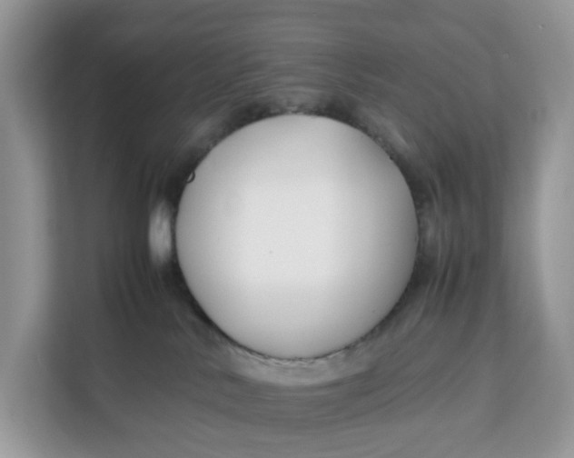 X0000112210042200908281509