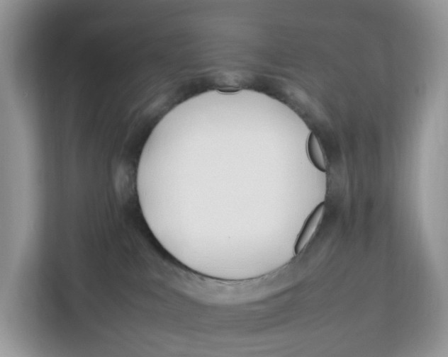 X0000112210043200908281508
