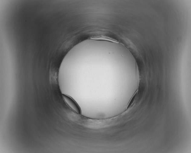 X0000112210045200908281508