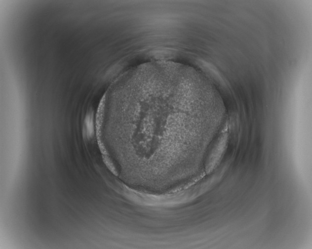 X0000112210046200908281508