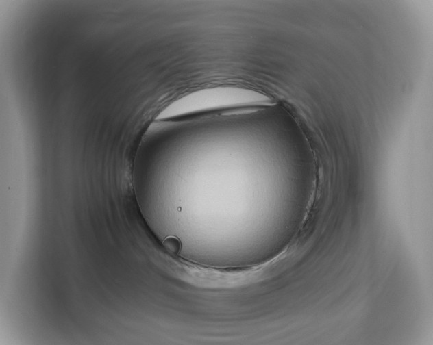 X0000112210048200908281508
