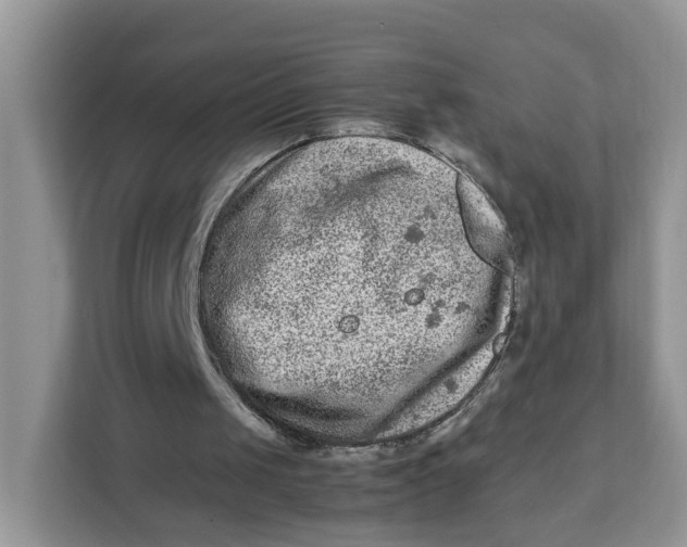X0000112210049200908281508