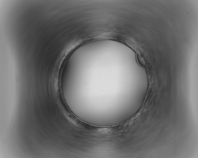 X0000112210050200908281508
