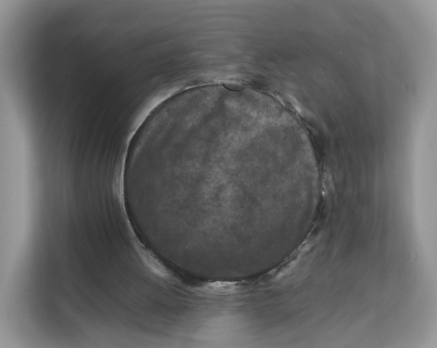 X0000112210052200908281508