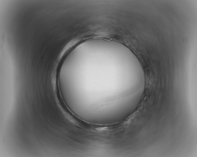 X0000112210054200908281508