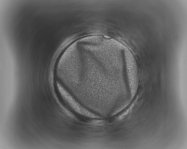 X0000112210055200908281508