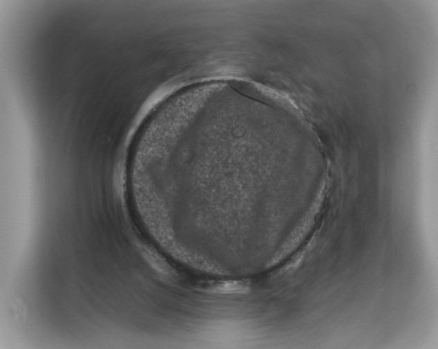 X0000112210056200908281508