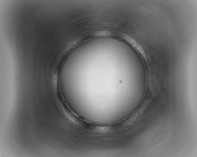 X0000112210057200908281508