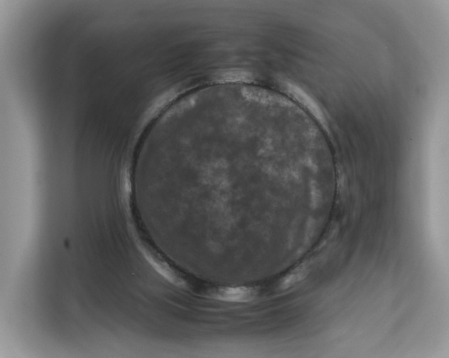 X0000112210059200908281508