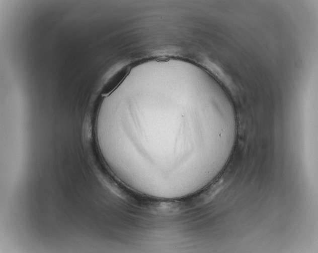 X0000112210060200908281508