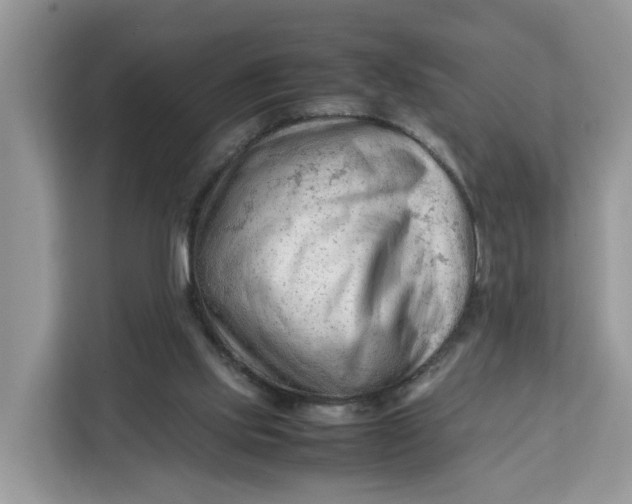 X0000112210061200908281508